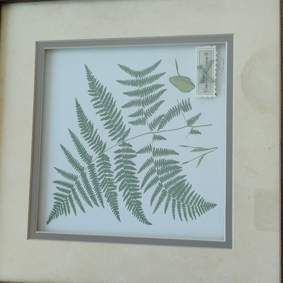 🎍 Heather FERN   3 DIMENSIONAL Framed ART S. Novak - Picture 1 of 16